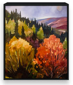 Aspen gathering