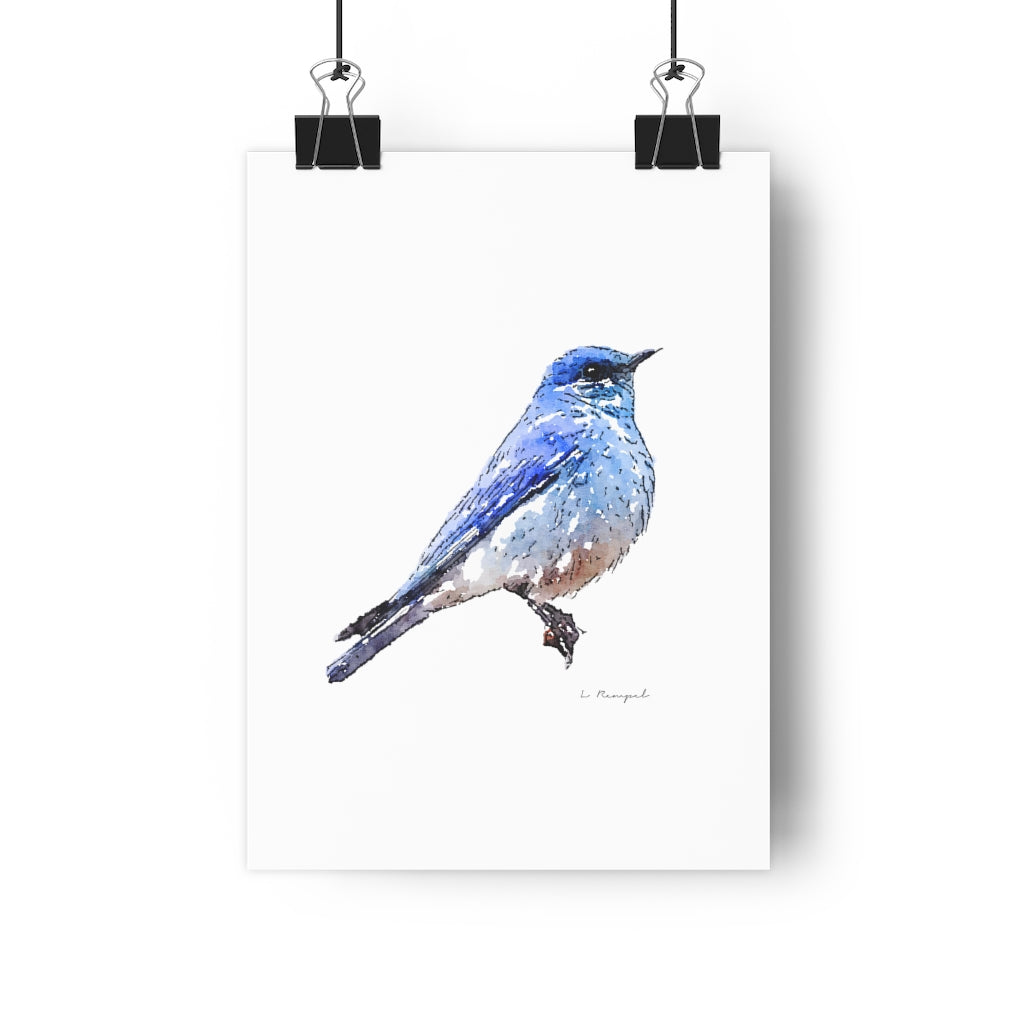 Little Blue Bird- Giclée Art Print