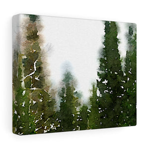 Pine Trees Canvas Gallery Wrap